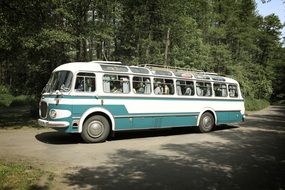 vintage bus stands near the trees