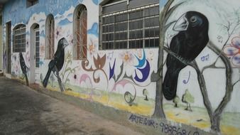 Birds on graffiti in brazil