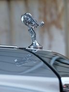 figurine on an expensive car