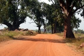 path track