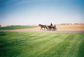 horse-drawn cart on the road