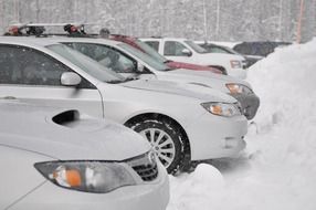 Parked cars in snowy forest