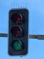 traffic lights signal