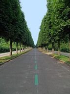 desert avenue in Potsdam