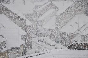 landscape of the snowing on a street in winter
