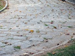 the stones of the pavement of the road