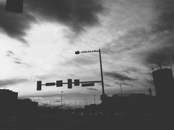 black and white photo of birds above the road signs