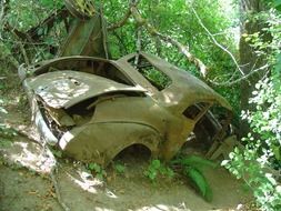 abandoned vehicle after an accident, oregon, park