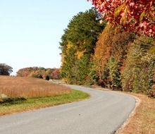 country road in autumn