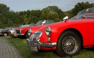 classic cars on green grass