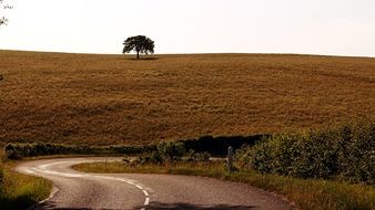 steep road among fields