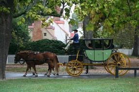 carriage in the park