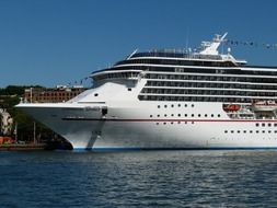 white cruise liner in the ocean