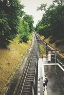 rails on the railway among green trees