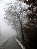 misty road