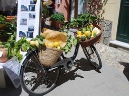 bicycle with fruit baskets