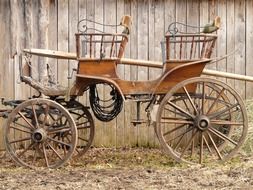 vintage horse carriage