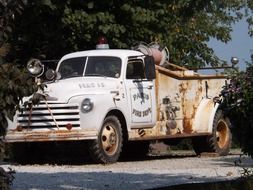 old truck under a green tree