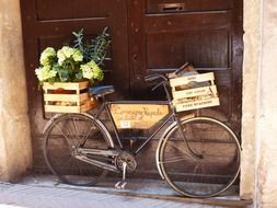 wooden boxes on an old bicycle, italy