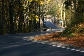 highway in the autumn forest