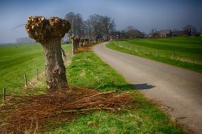 Willow road