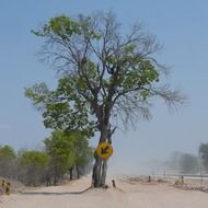 road sign on a tree in Africa