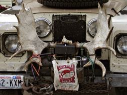 front of an old car with horns