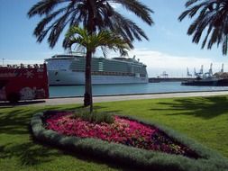 cruise canary islands