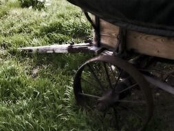 wooden cart on green grass close-up