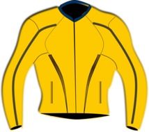 Yellow jacket as an illustration