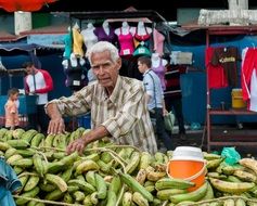bananas on the market stall