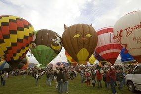 hot air balloons at a festival in New Mexico