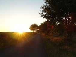 road away and sunset on horizon