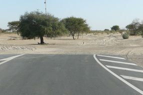 end of the road near the trees