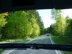 asphalt road among green trees