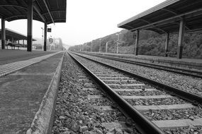 train station monochrome photo