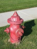 pink fire hydrant