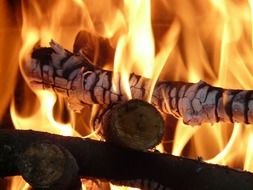 glowing fire on the wood
