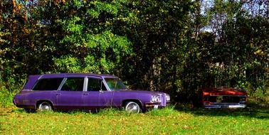 purple car on green grass