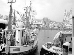 boats in the harbor in black and white image