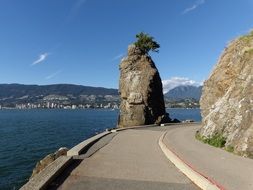 stanley park sea