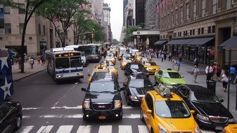 cars on new york road