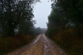 country road to nowhere