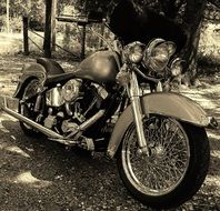 vintage motorcycle Harley-Davidson Custom outdoor