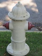 white fire hydrant