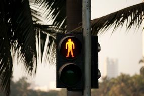 Yellow traffic lights