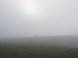 Empty foggy field