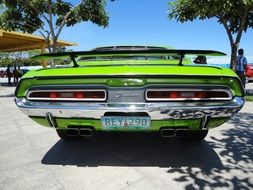 rear view of a green muscle car