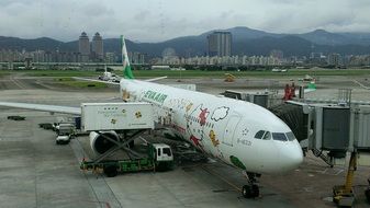 loading baggage on a plane at the airport