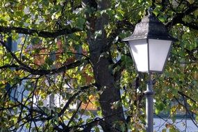 metal street lamp